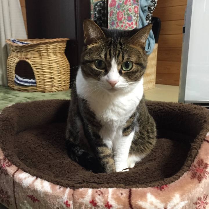 42e6487a 51f0 4735 a012 76e2c1a165a2