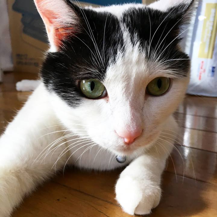 42e64c2b 2441 4b6c bdbe bba921ff6b93