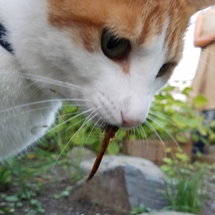 42e64f2a 50ce 4630 a241 a5db54d339a1