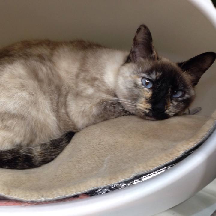 42e65d9a 65a2 4aba 8c7e dfa5c545640a