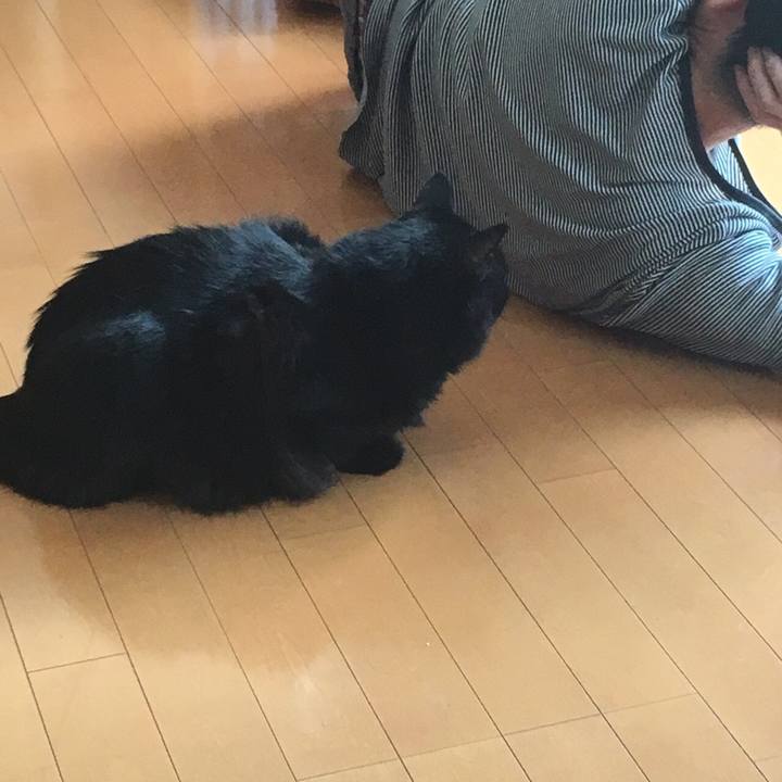 42e69a9e aab5 41ef a897 57da55ed4ac4