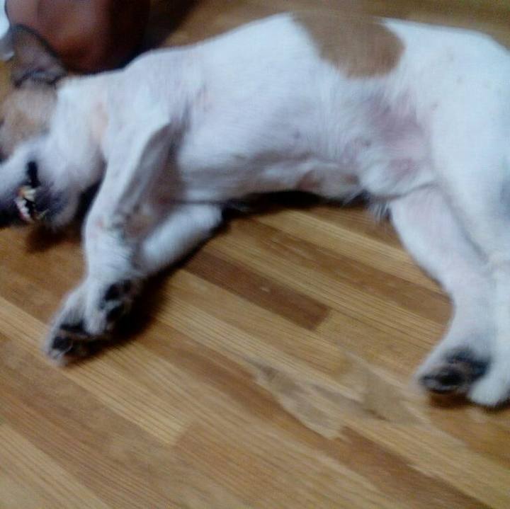 42e72a7a c413 4d18 bc8c 5376996b971c