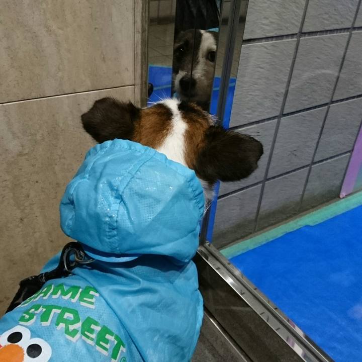 42e80620 8cca 4580 81ec 82b335bb88bd