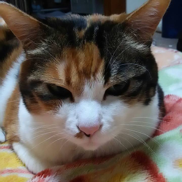 42e840b7 a5b3 4f5e 8ac5 76261e77c632