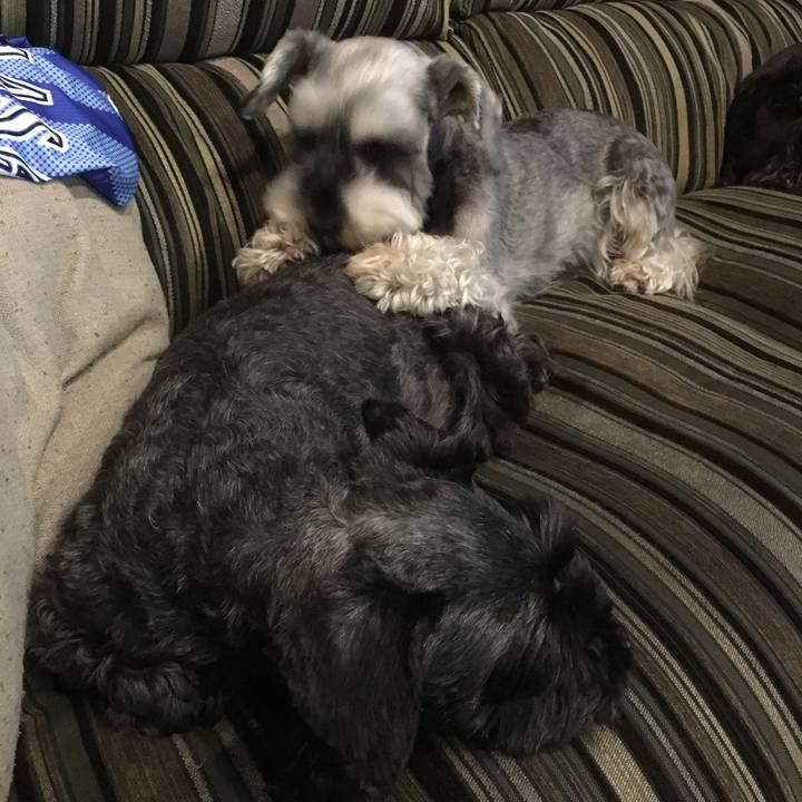 42e8634c 4f3c 4552 aad0 1280761a5c42