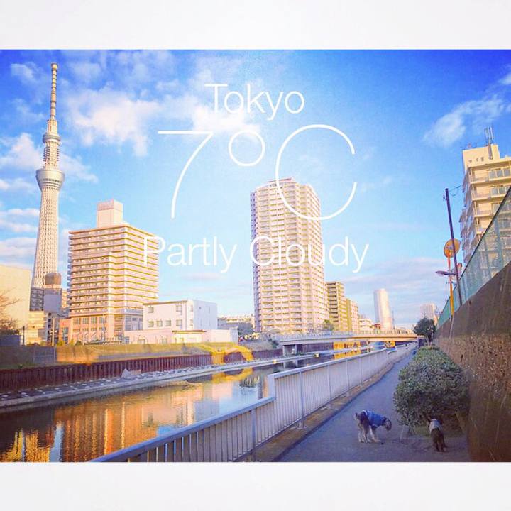 42e86729 6cfa 4c4d 901b 61bdf7a8b6f3