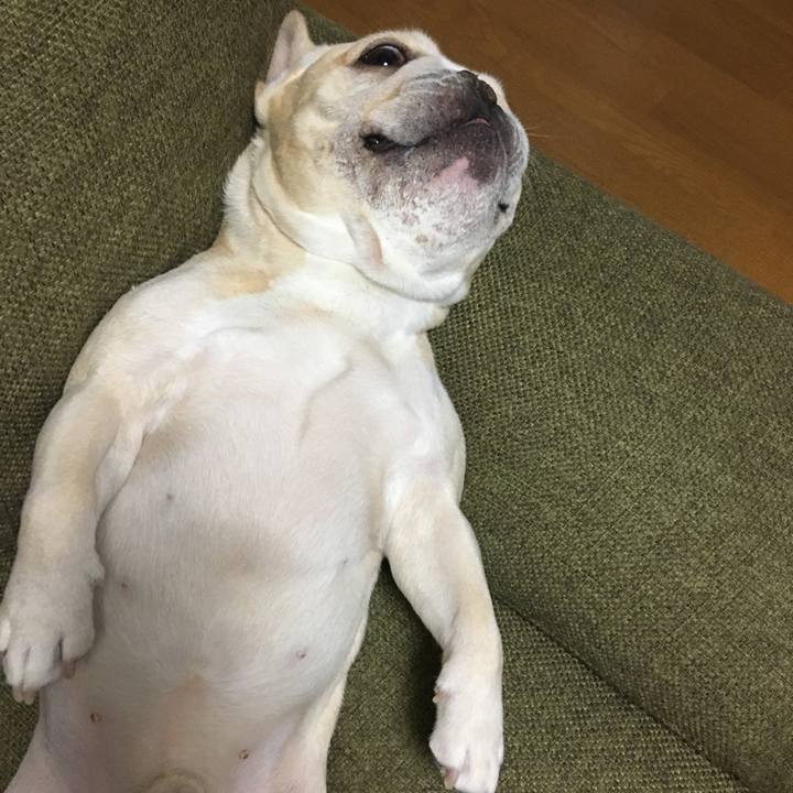 42e88dc6 6da5 4b71 a313 e49d03d9f032