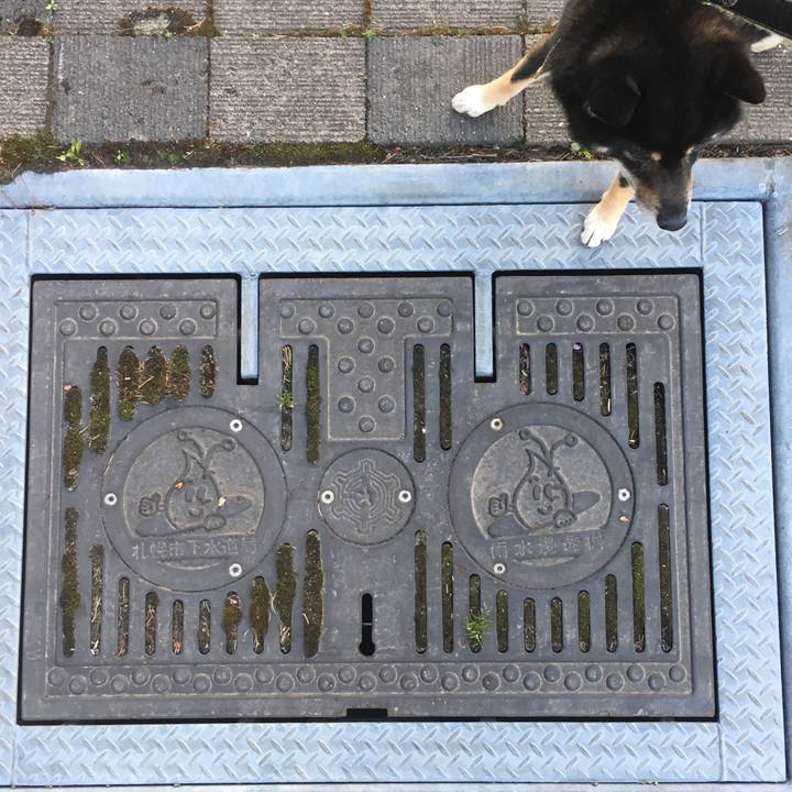 42e92805 e233 4139 add6 685ba0c8fea5