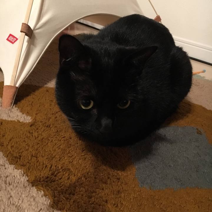 42e993cf a142 440c b2e0 b6058fc29b8d