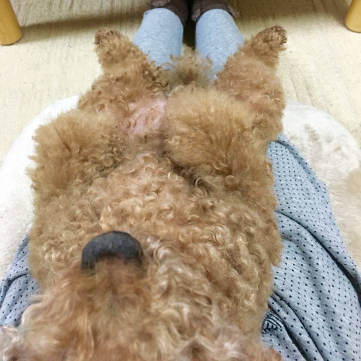 42e9f262 763e 422a bef9 8c94d37faaad