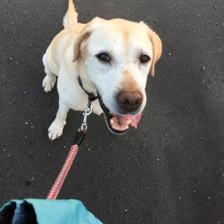 42ea35ff 5591 45a4 b755 10fb9afdd6f6