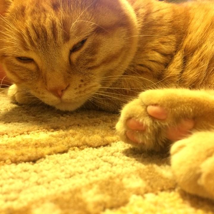 42ea7134 fa76 445e 9f7d 09d1ed8a5177