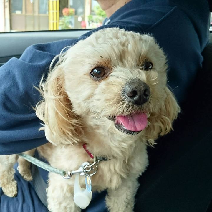 42eafda2 5d0b 44c0 b139 73d9d4eb9d58