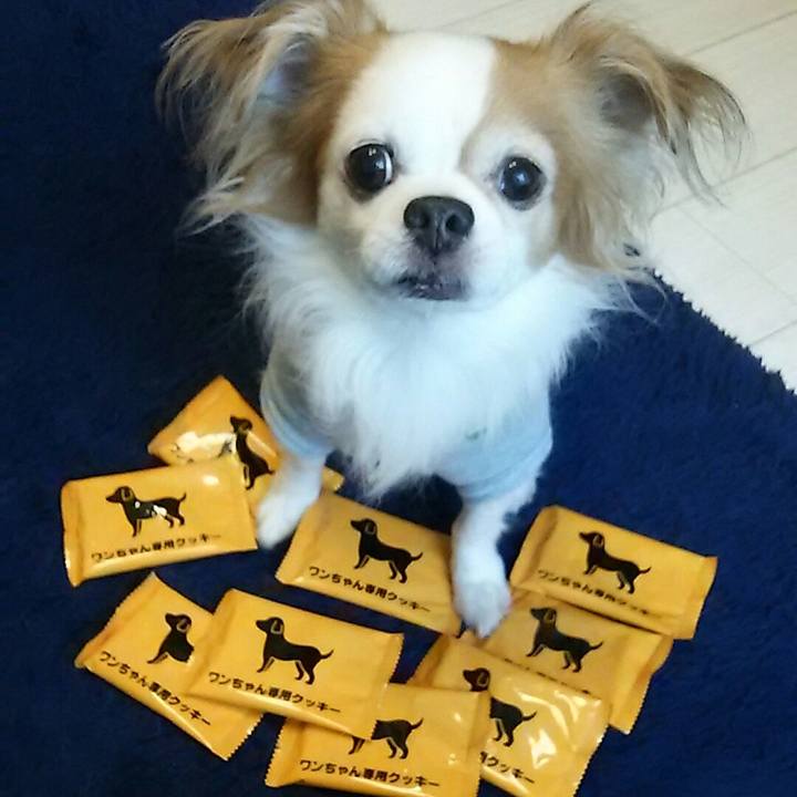 42eb790a a477 4346 ba95 c2b359636796