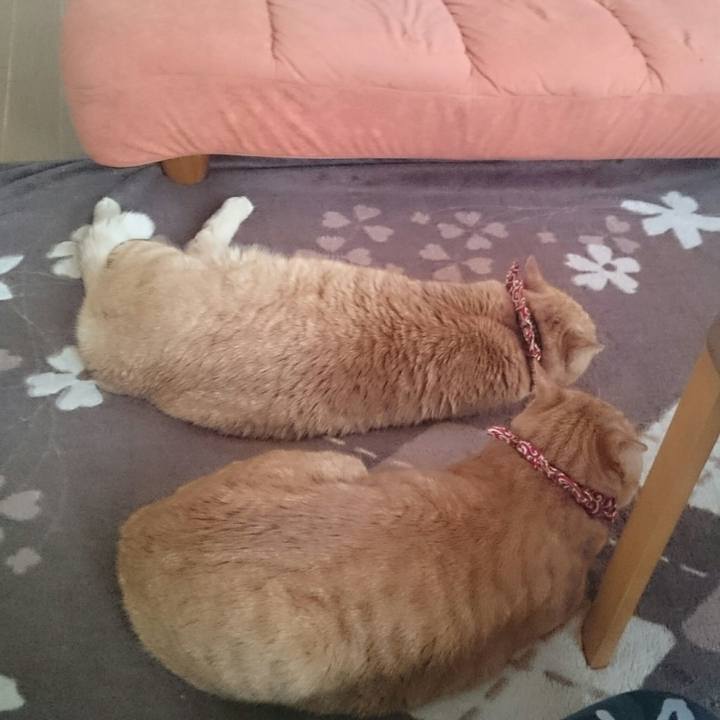 42eb933f 44a5 47d7 a386 1026e50d9983