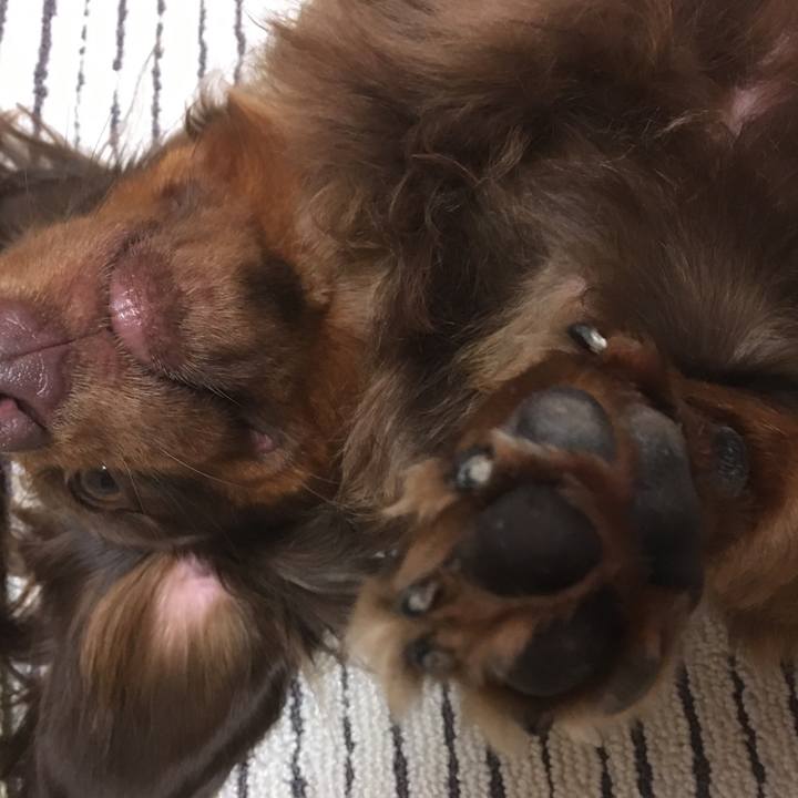 42ec554e 0a2a 426e 9ae8 1080165bbe7e