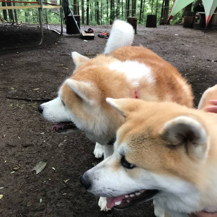 42ed122a 0cfc 4fee b121 a6d5f3dd9893