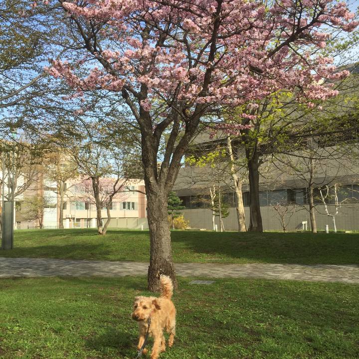 42ee2b45 d786 45c5 874f 088502f78f8b