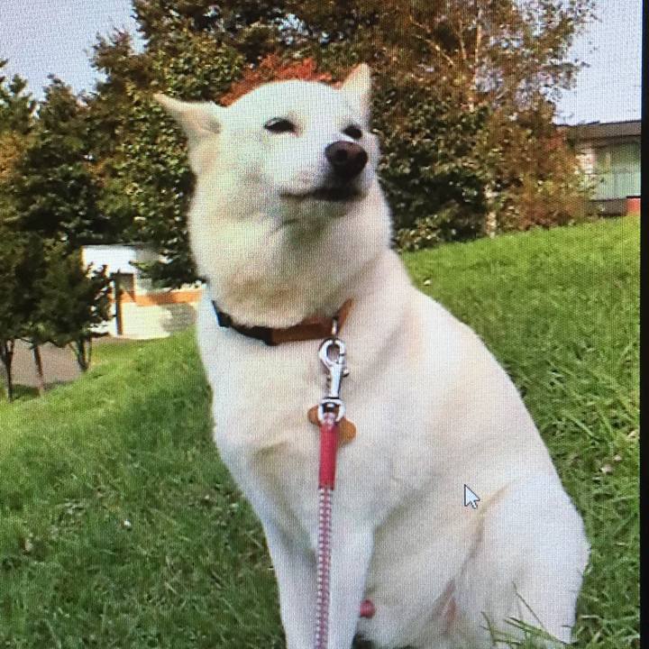 42ee7718 79c5 4879 bfda c4f879da4fef