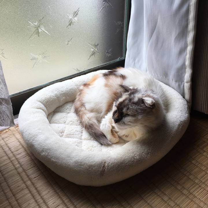 42efe6d1 dfc1 4a3d 964f b5319ec7d9aa