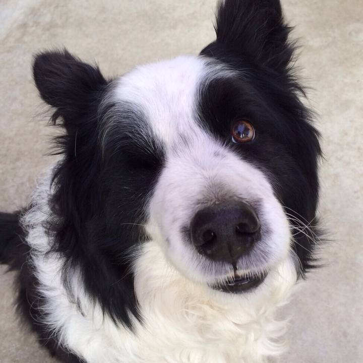 42f038c4 1dc3 4892 b42f 66b309af13e0