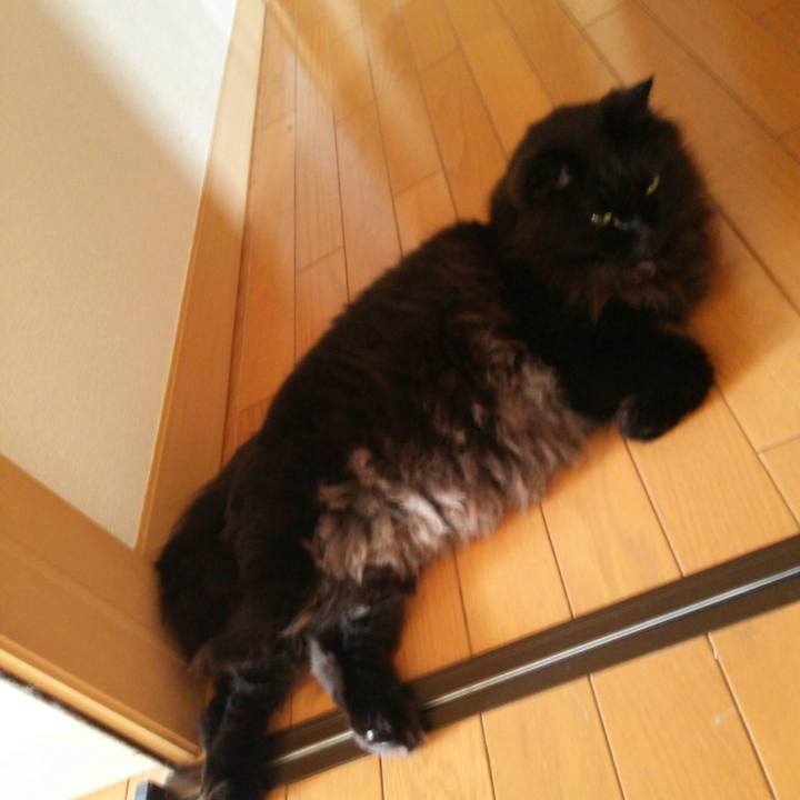 42f0418b 3a1b 46b8 aa29 c381d976bea7