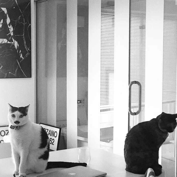 42f05f96 287b 411d a93a 13782c11ac65