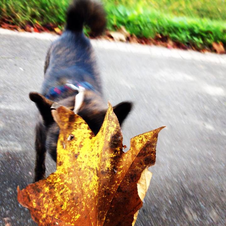 42f0b84d dc2f 475d a122 79cf27feb362