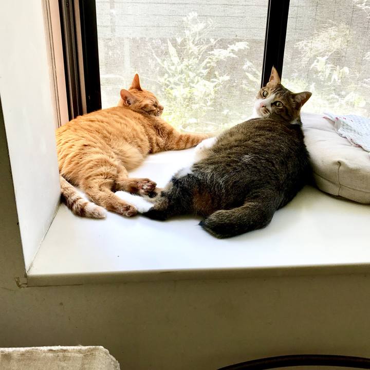 42f0d41a ac21 4d28 8ed5 e96b2004b423