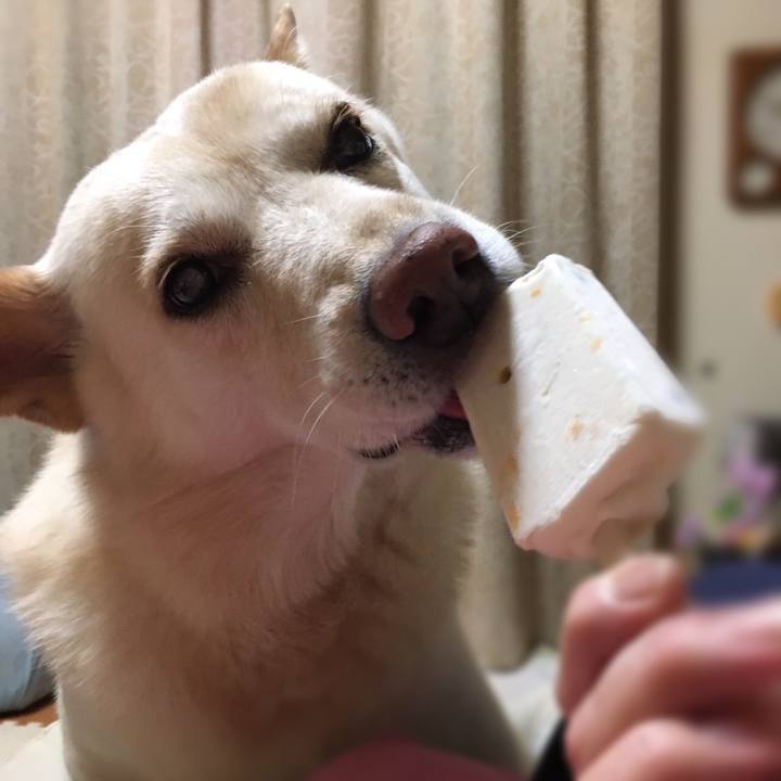 42f210a9 2143 4236 9af4 63291ef74481