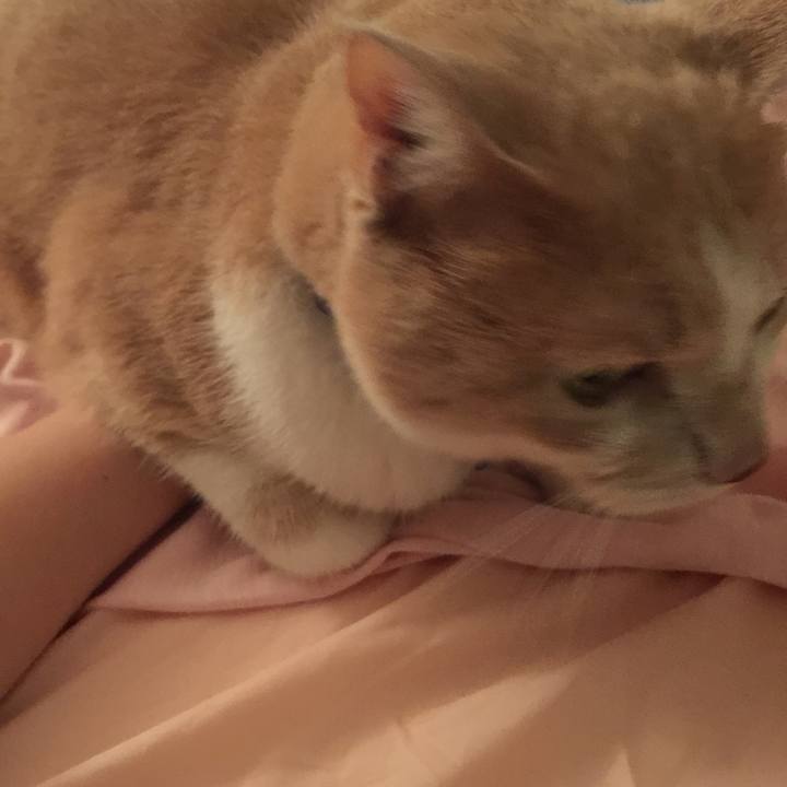 42f28ed4 d537 469c 8b80 48cce62c69e1