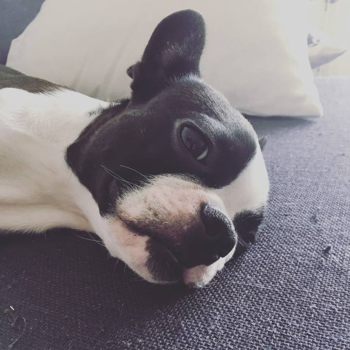 42f2d6cb 3573 4b5c 85ce 30a7ced77530