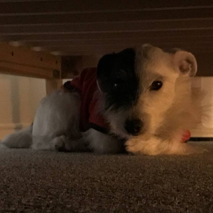 42f2e2e5 d977 416a b70b 2699672486c2