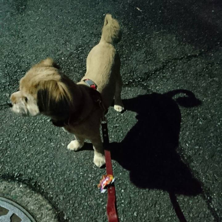 42f3e088 7d9f 4c55 b6b7 15c659a42d26