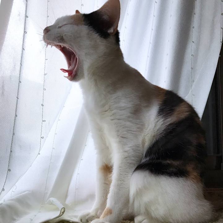 42f3e3b2 ef74 46c4 adc0 4c17907b57e6