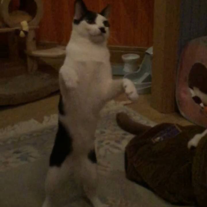 42f46897 d053 4bf4 b130 595bdd15d469