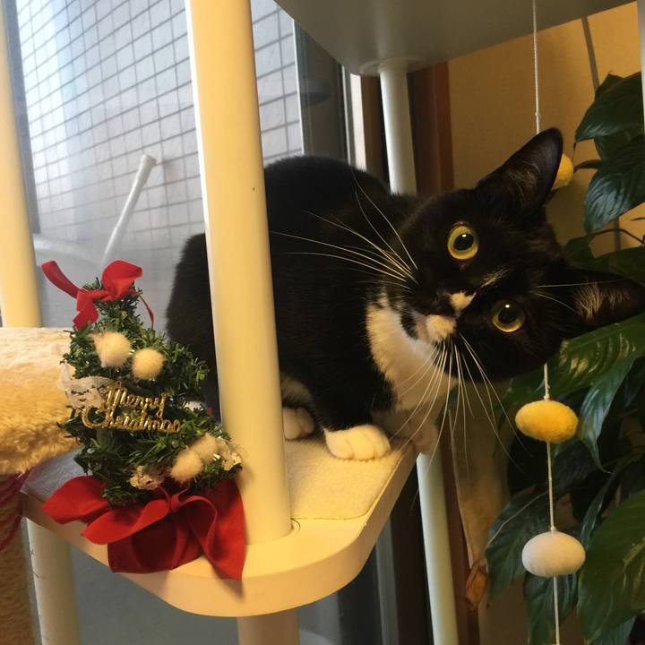 42f4e848 c51a 43ed b274 75817a85593c