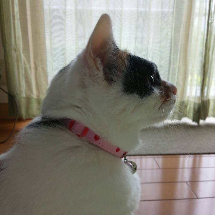 42f5215d 4af7 427f af18 e8b403ac2406