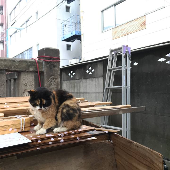 42f564b3 4fee 4259 bc24 e174af59f2d2