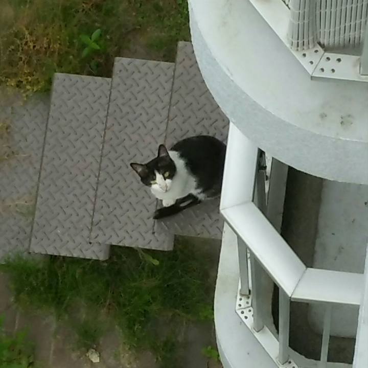 42f56af7 2aad 4045 bf5c 0e852399d7d6