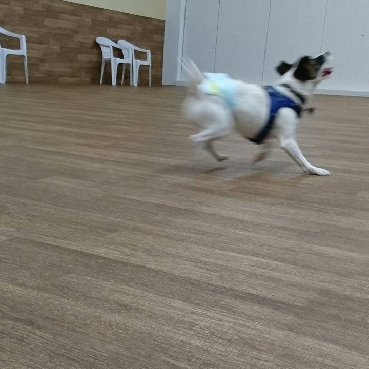 42f5b08b 4071 4794 bc8e 0a8a52e01c12