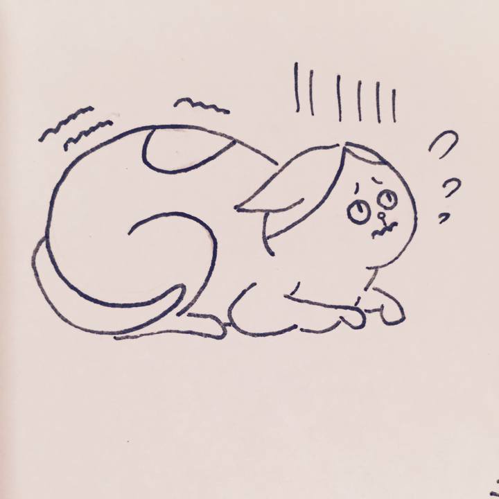 42f5b110 34bc 4b22 acce 1b81a9590967