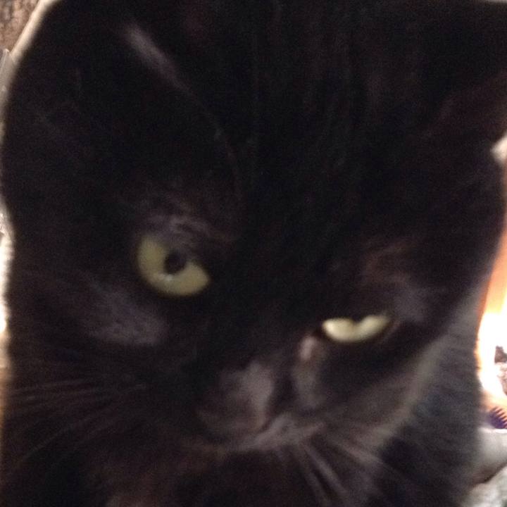 42f5dbff 8b84 4ec0 a2b0 2a97f549c31f