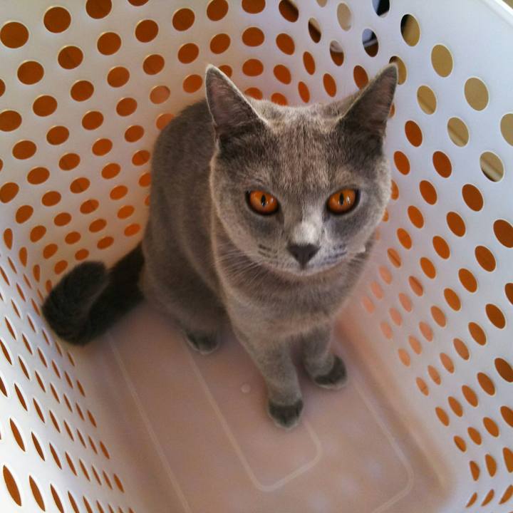 42f60a4c 30ba 42a9 8e8c 1265803f45ce