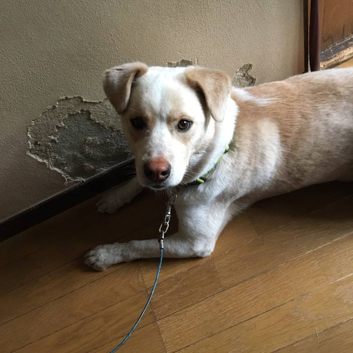 42f690c2 fd40 4340 a03c 52744c96ff9b