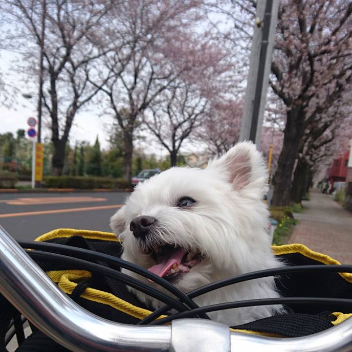 42f71087 c073 4f59 975c 919a67dee738