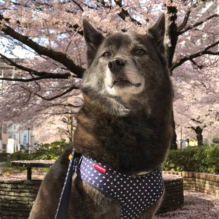 42f71a28 9bd1 4139 a3f2 c6ee71c34df2