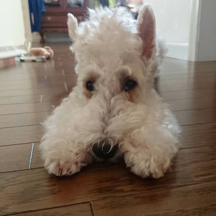 42f72f06 9fad 47f1 b6a6 160301985471