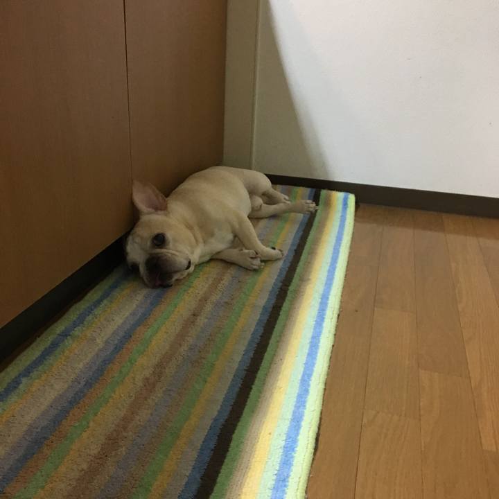 42f764ed 3165 4706 9b71 432436488902