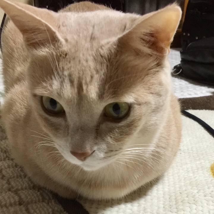 42f8659f 29a8 4633 ae0f 671a26c34961